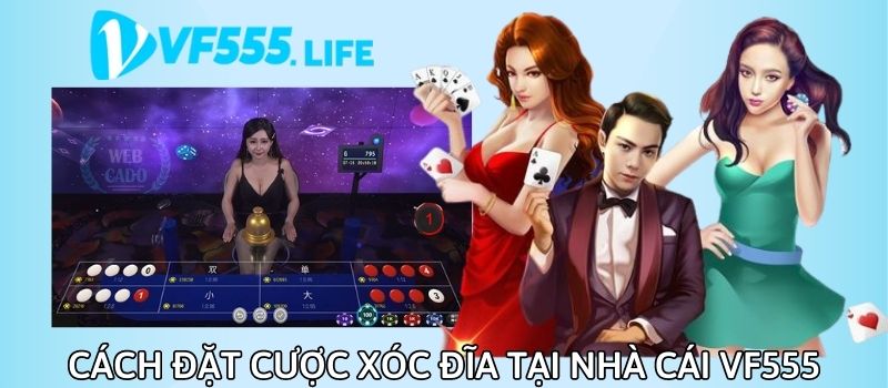 Quy trình tham gia đặt cược xóc đĩa tại nhà cái cá cược uy tín VF555